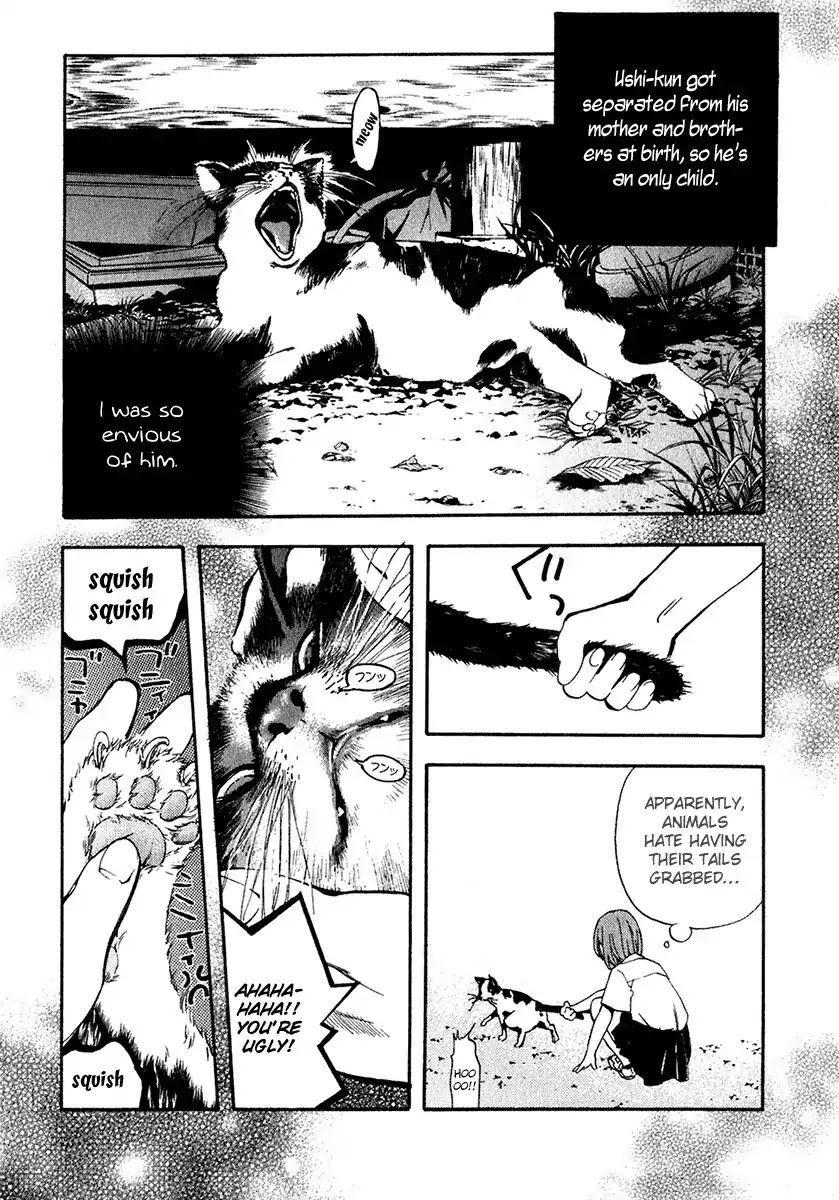 Katekin Chapter 15 page 12 - Chapter 15: A cat and a youngest daughter