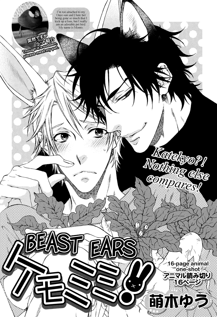 Katekyo! Chapter 4.7-6 page 5 - Vol.4 Chapter 7.6: Kemomimi DJ