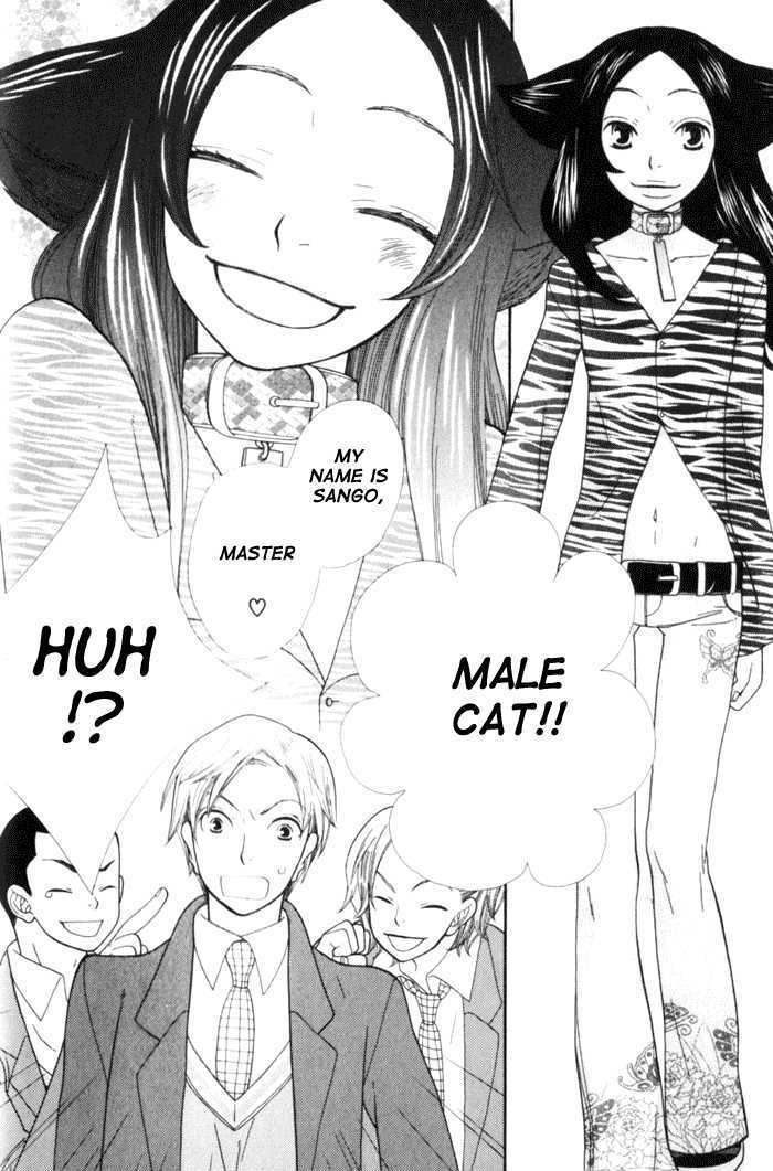 Kawaii Gatte Chapter 3 page 3 - Chapter 3 : Sango the Black Cat