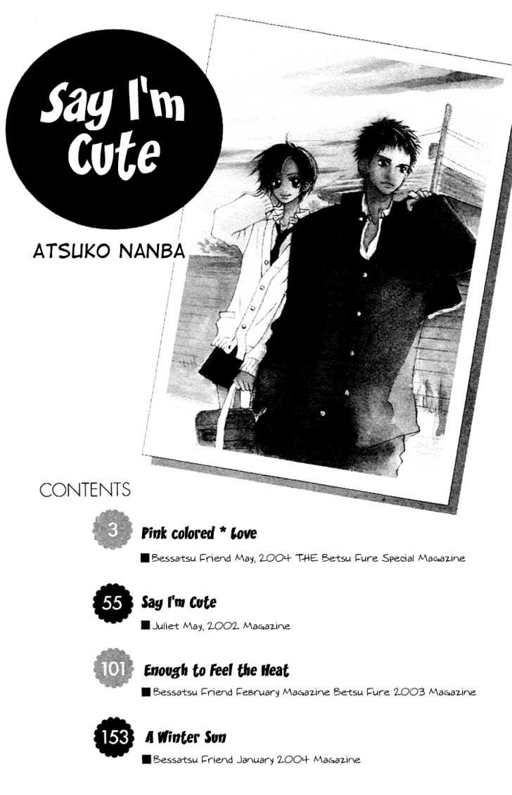 Kawaiitte Itteyo Chapter 1 page 2 - Chapter 1 : Pink Colored Love