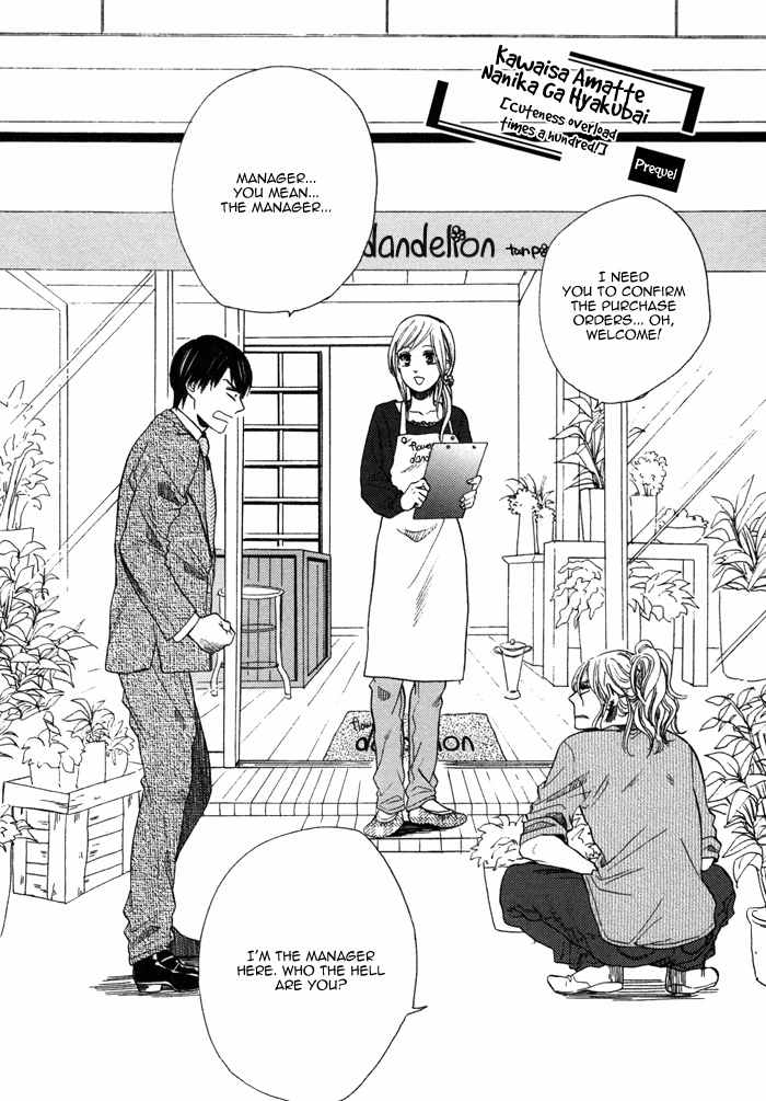 Kawaisa Amatte Nanika ga Hyakubai Chapter 1 page 11 - Chapter 1