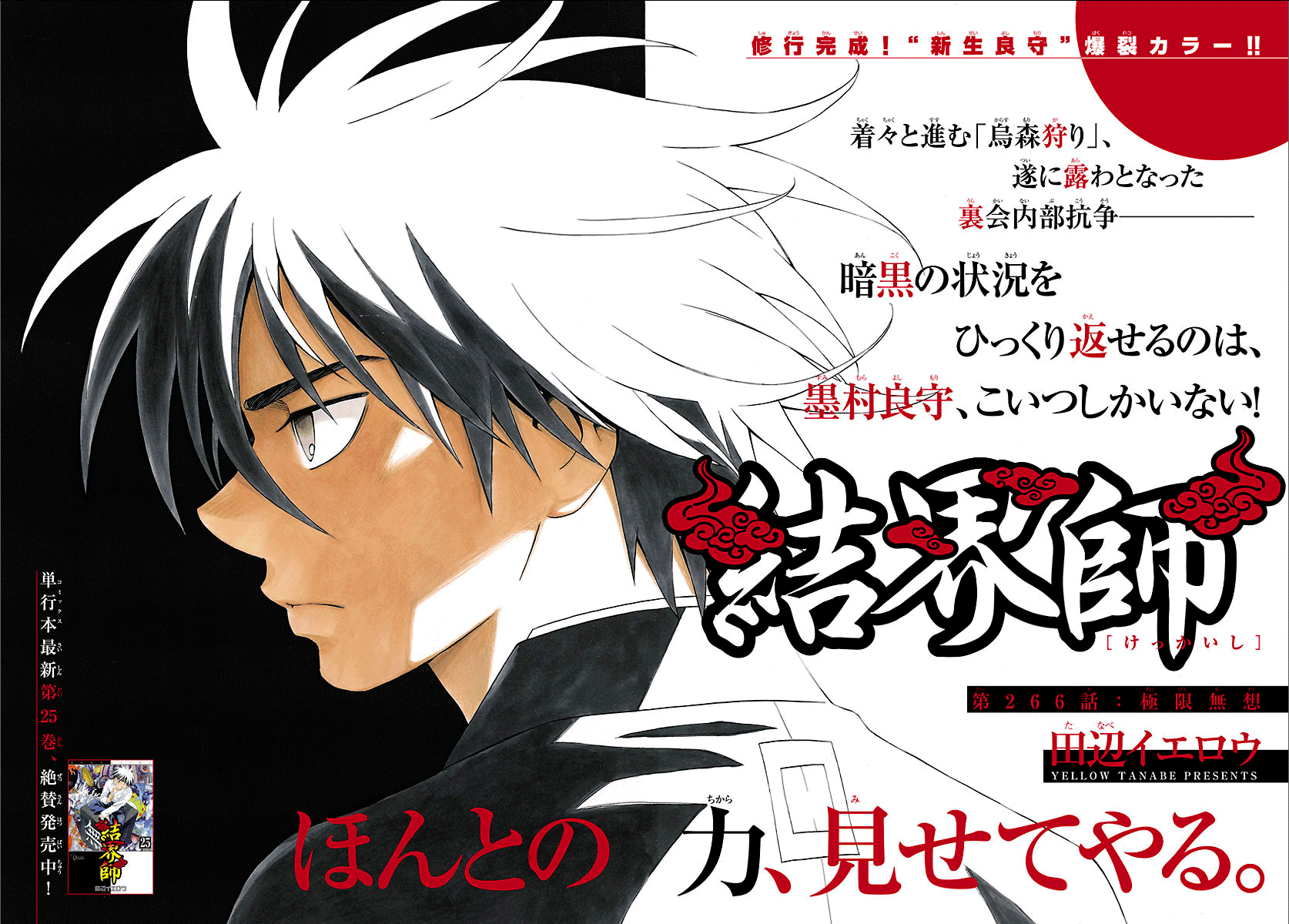 Kekkaishi Chapter 266 page 2 - Chapter 266: Highest Degree of Blank State