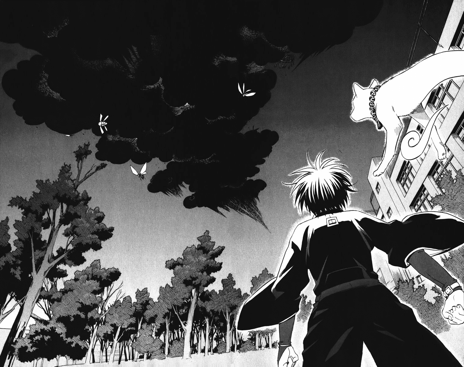 Kekkaishi Chapter 88 page 17 - Chapter 88: Kokubourou's Invasion