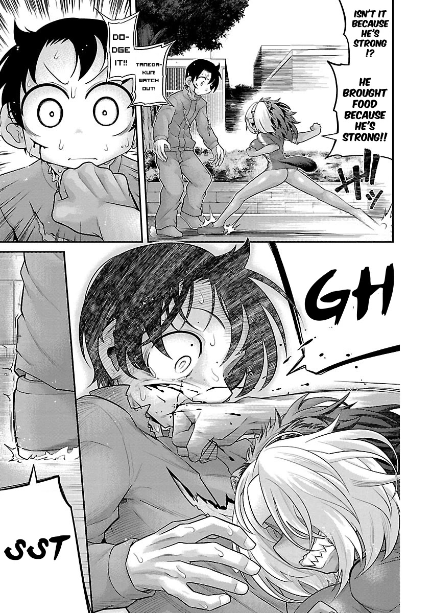 Kemokko Dobutsuen! Chapter 14 page 14 - Chapter 14: Hagane The Gulo