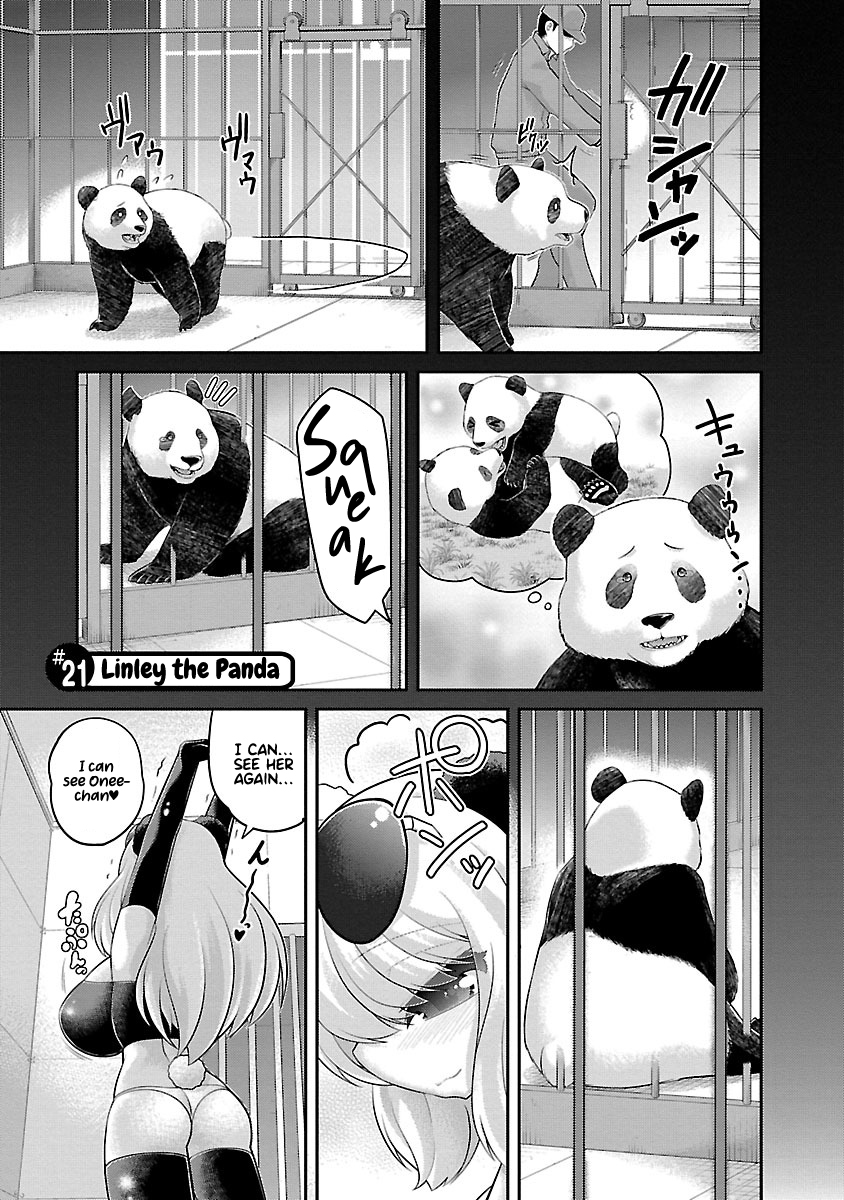 Kemokko Dobutsuen! Chapter 21 page 1 - Chapter 21: Linley the Panda