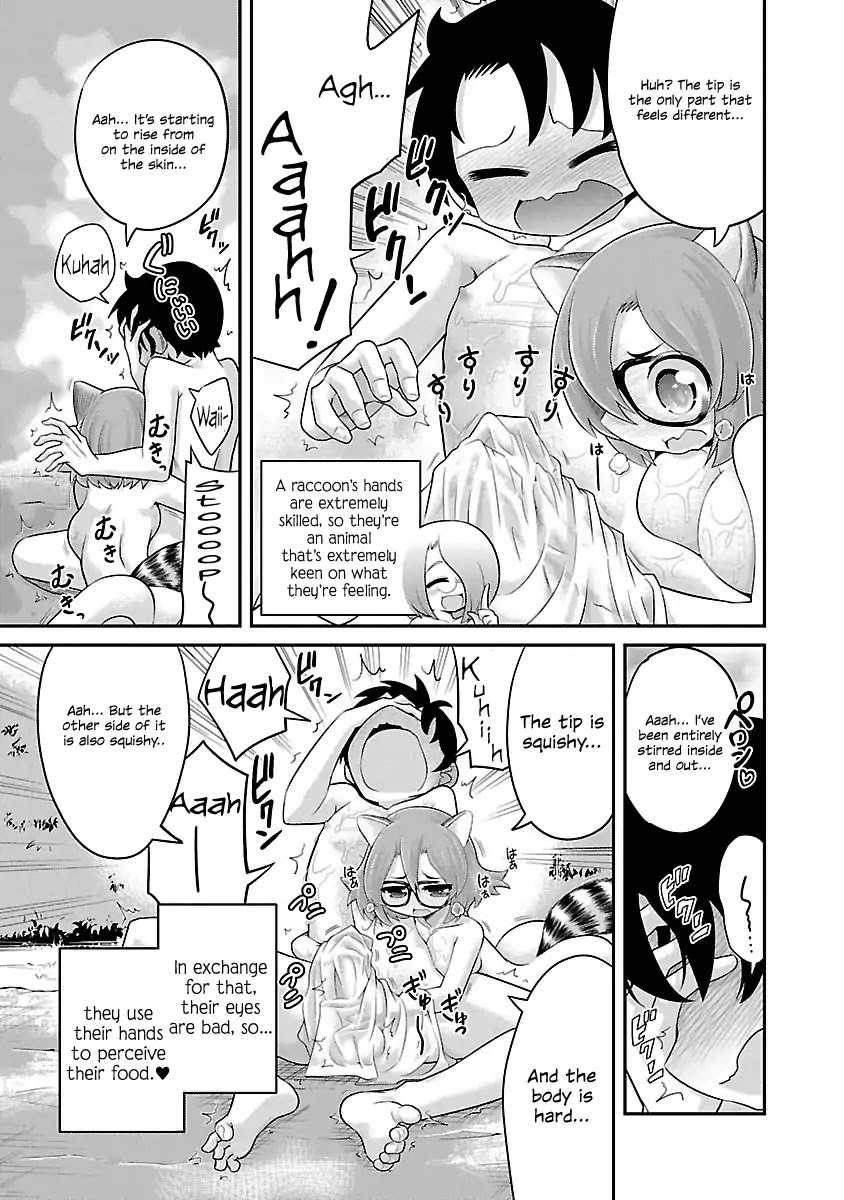 Kemokko Dobutsuen! Chapter 5 page 11 - Chapter 5: Azuki the Raccoon