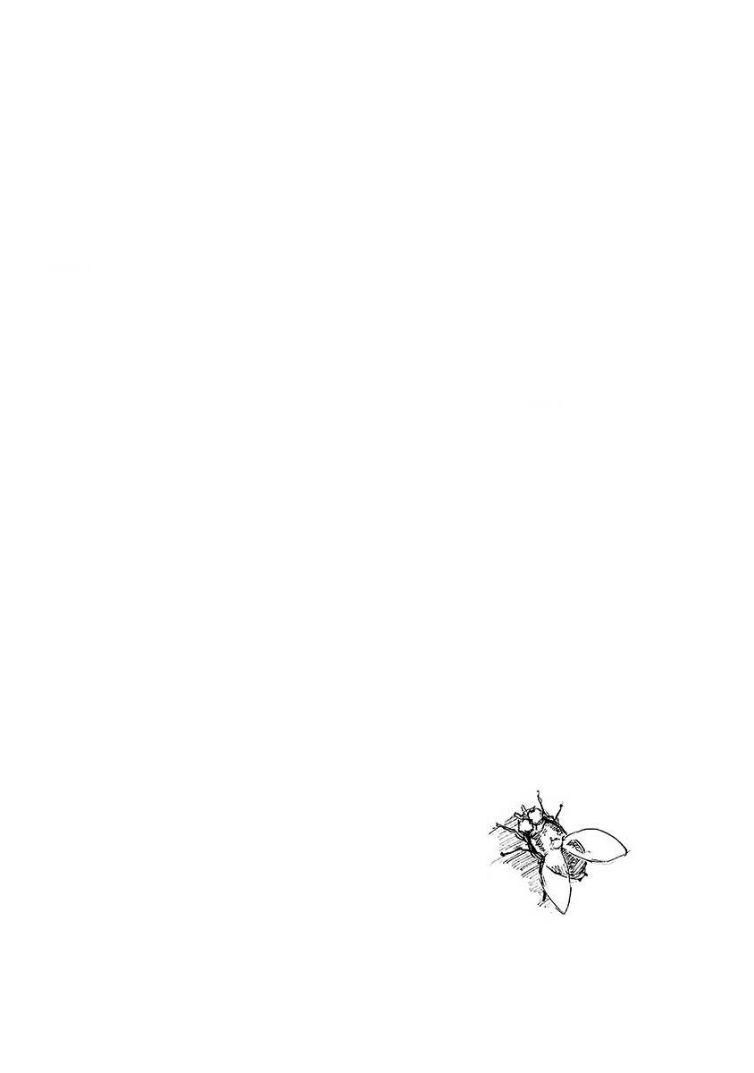 Kemono Giga Chapter 45 page 22 - Chapter 45: The Fly