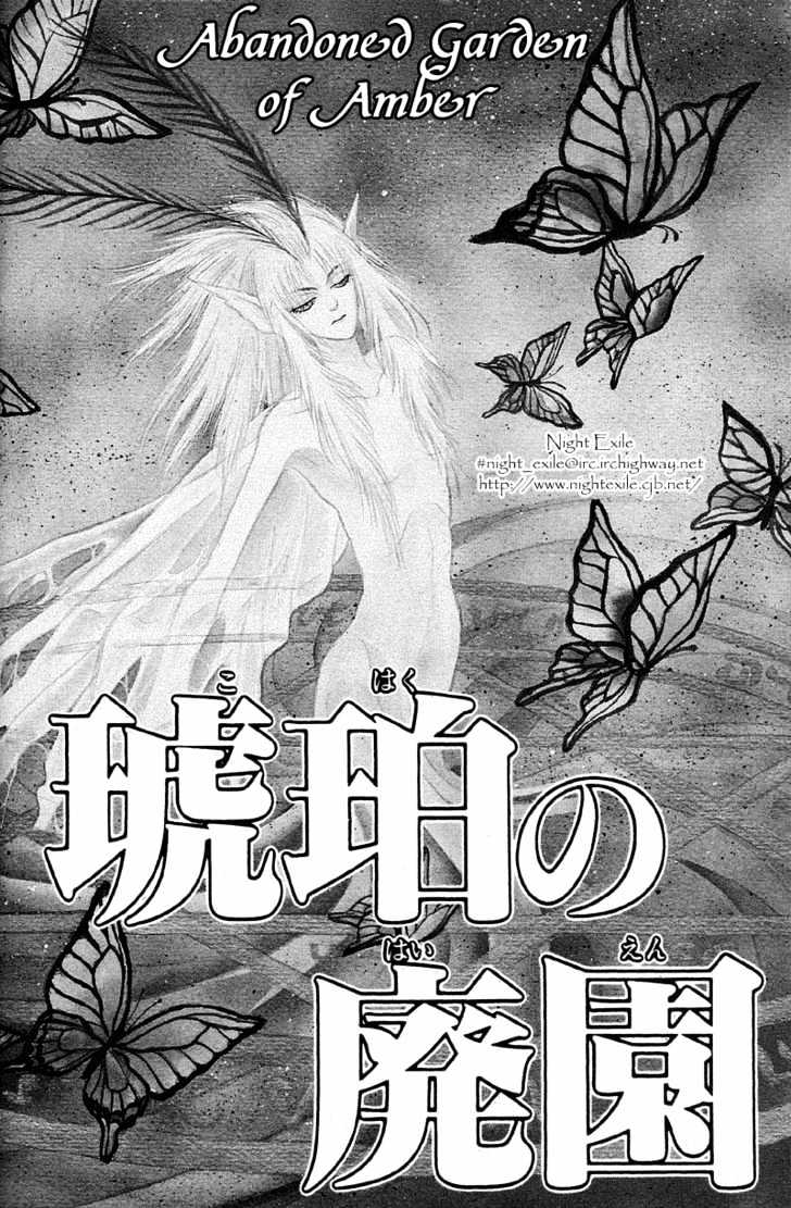 Kenja no Ishi Chapter 3 page 2 - Chapter 3: Abandoned Gardan of Amber