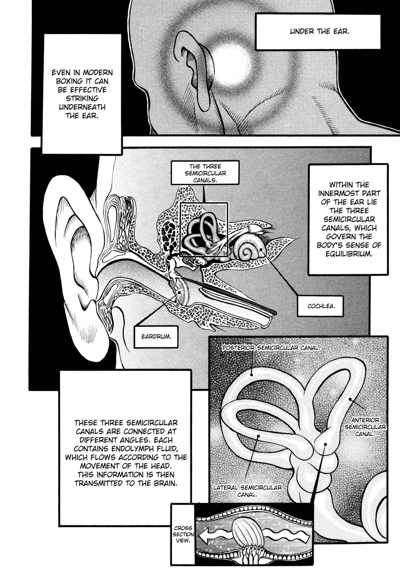 Kento Ankokuden Cestvs Chapter 44 page 17 - Chapter 44: Nonconformist