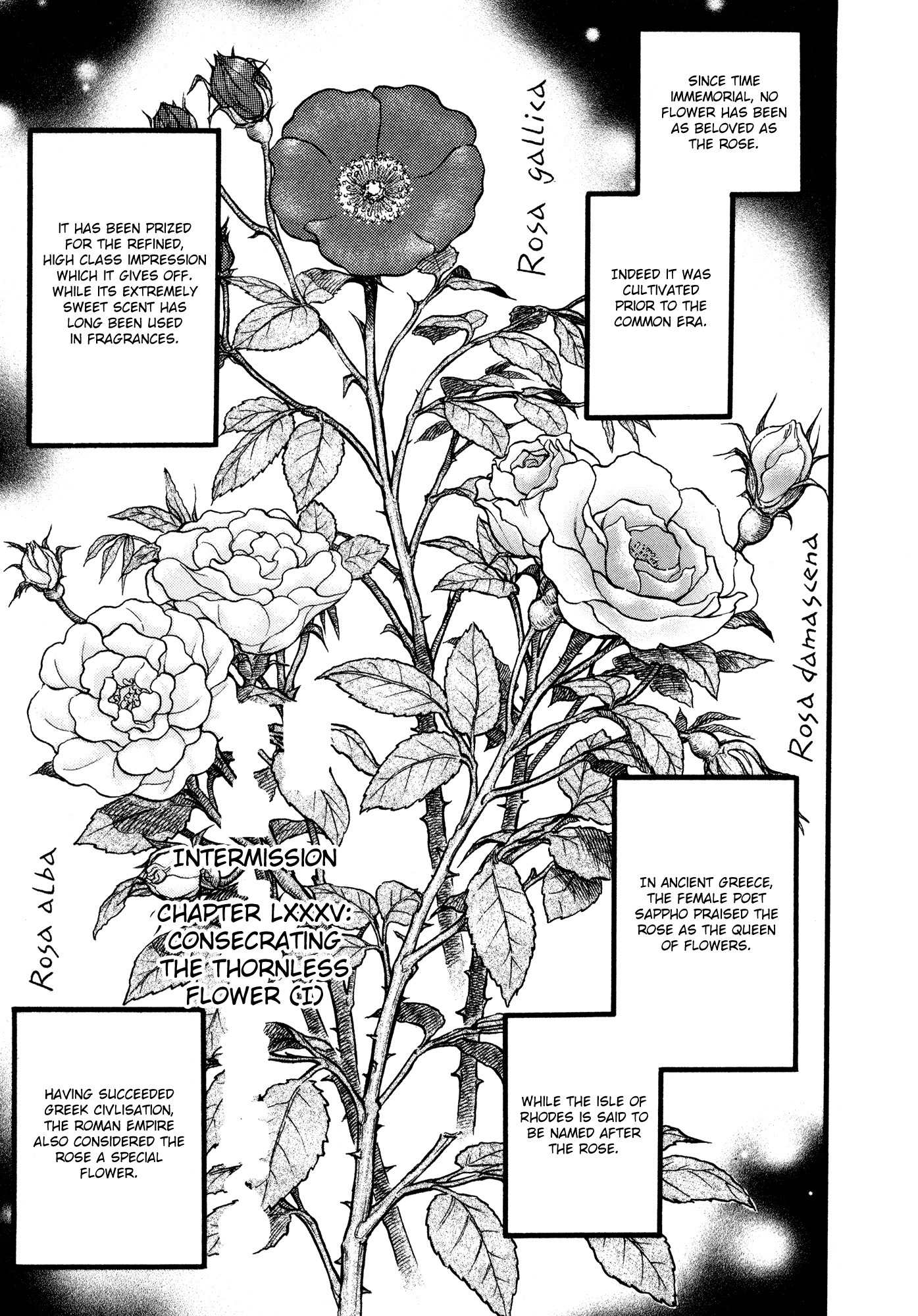 Kento Ankokuden Cestvs Chapter 85 page 1 - Chapter 85: Consecrating The Thornless Flower (I)