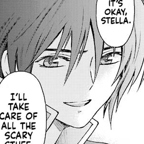 Kidou Senshi Gundam SEED Destiny the Edge Chapter 11.5: Special Edition: I Will Protect You cover