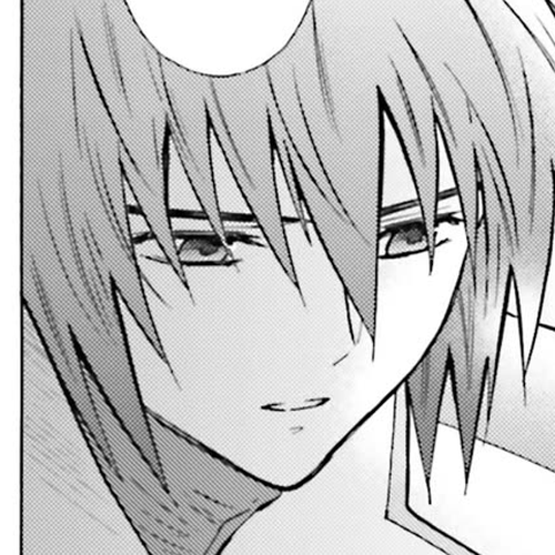 Kidou Senshi Gundam SEED Destiny the Edge Chapter 19: Destiny cover