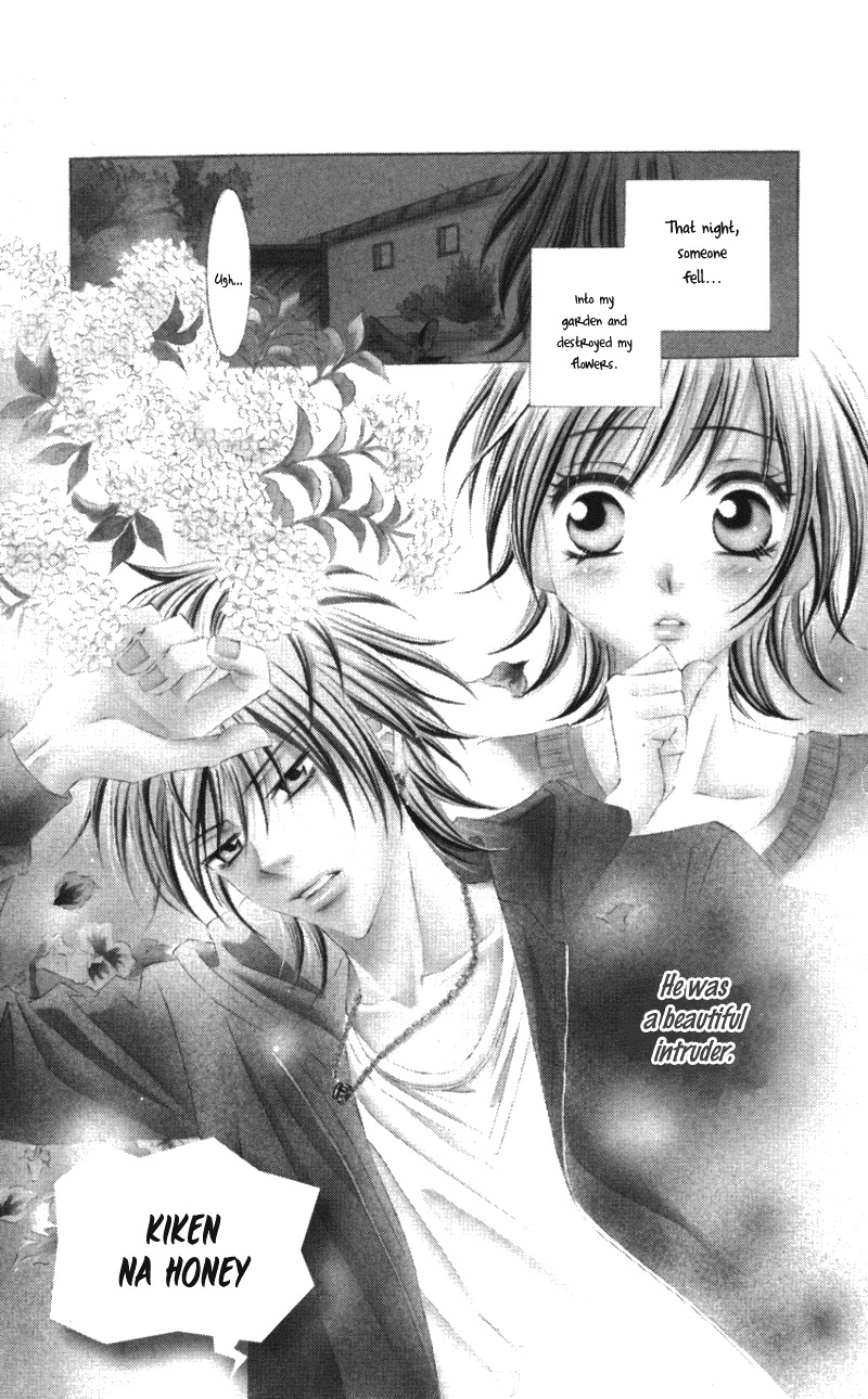 Kiken na Honey Chapter 1 page 8 - Chapter 1: Kiken na Honey