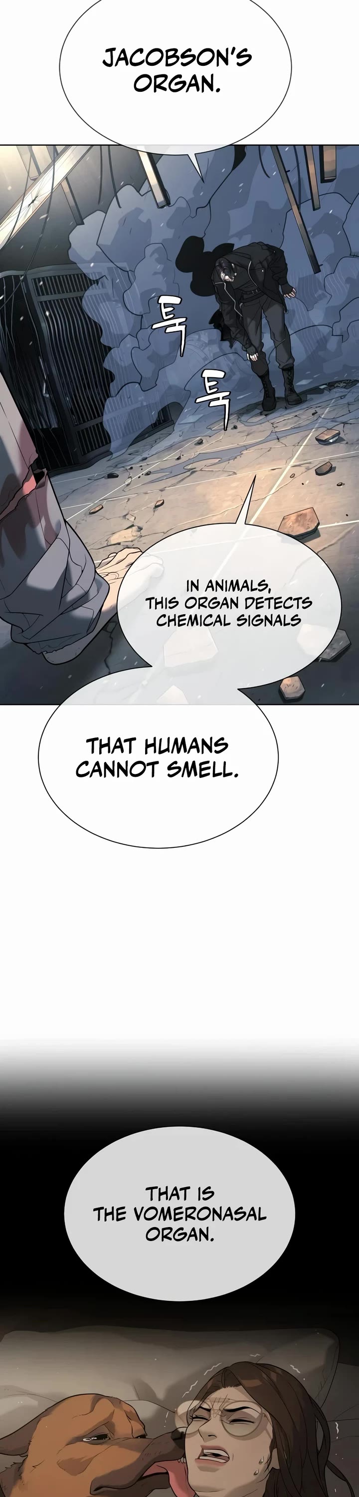 Killer Pietro Chapter 132 page 18 - Chapter 132
