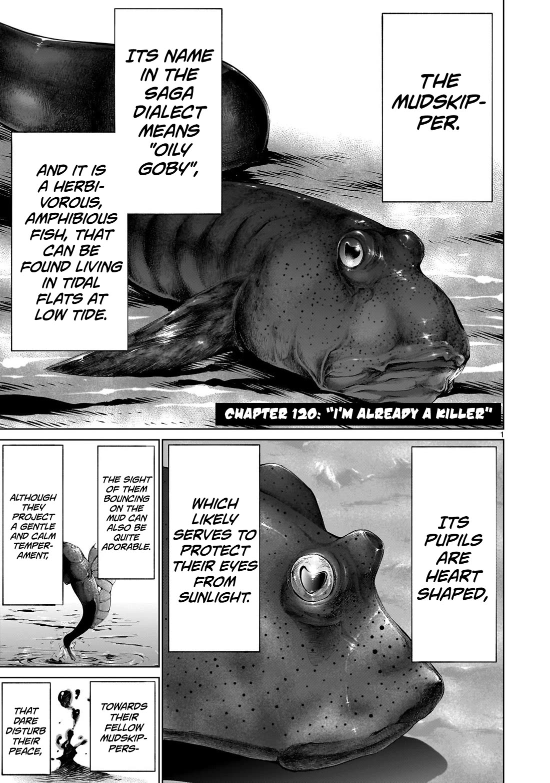 Killing Bites Chapter 120 page 1 - Chapter 120: "I'm Already A Killer"