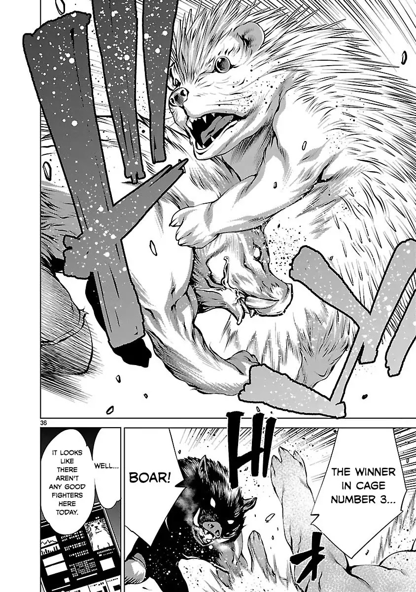 Killing Bites Chapter 31 page 36 - Chapter 31: To Become The Champion