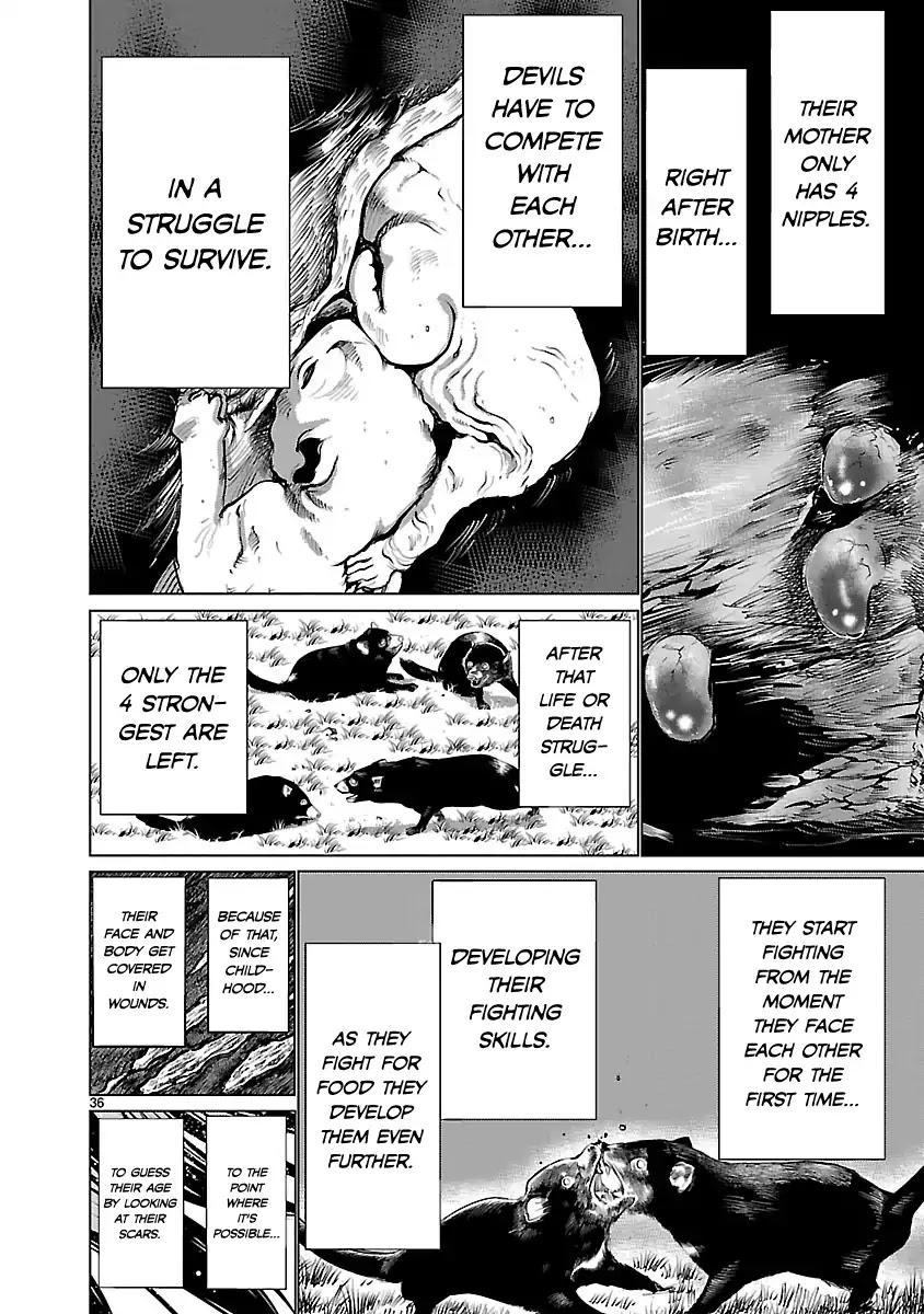 Killing Bites Chapter 36 page 36 - Chapter 36: "Killing Bites Is Not Nice Like That"