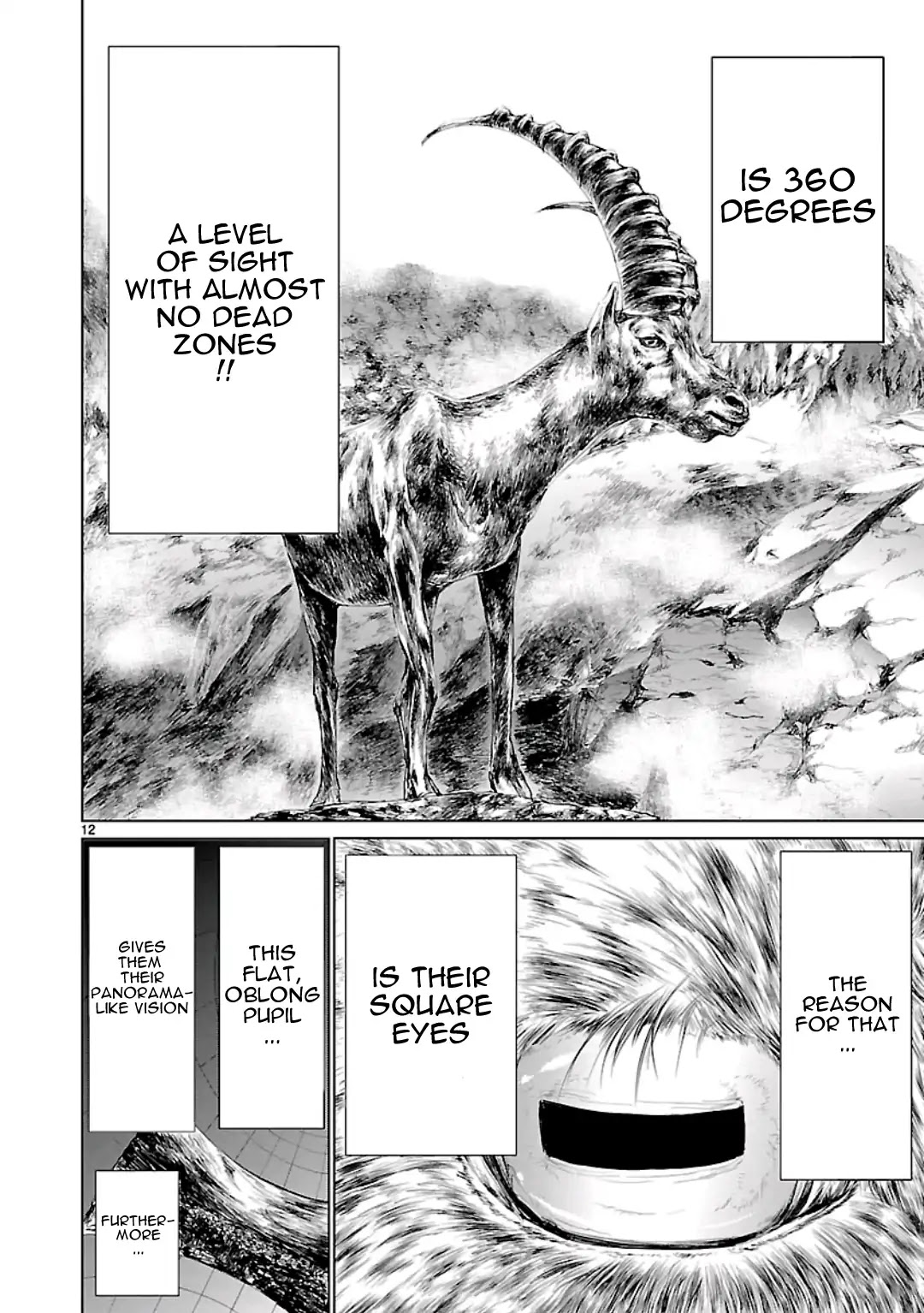 Killing Bites Chapter 56 page 13 - Chapter 56: I Was Waiting For A Chance Like This