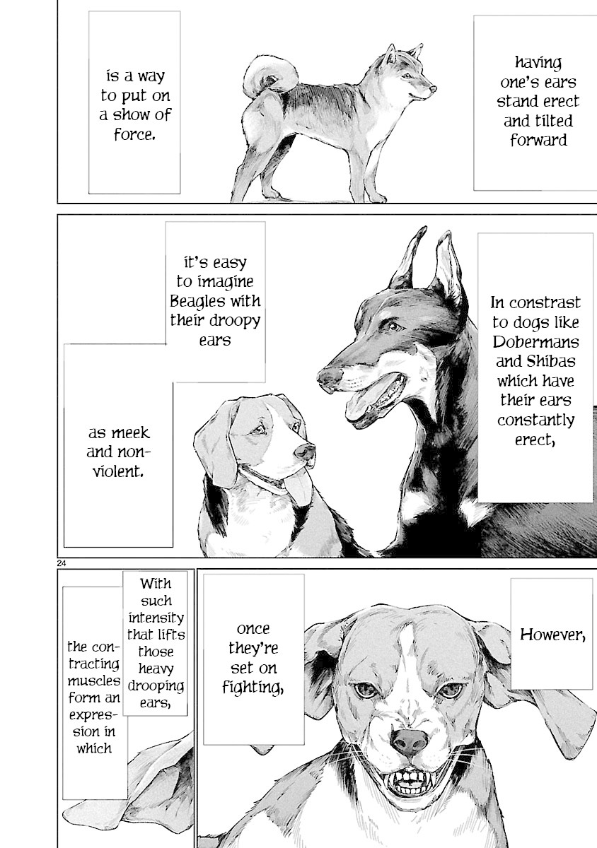 Killing Bites Chapter 66 page 23 - Chapter 66: It's Nowhere Near Enough