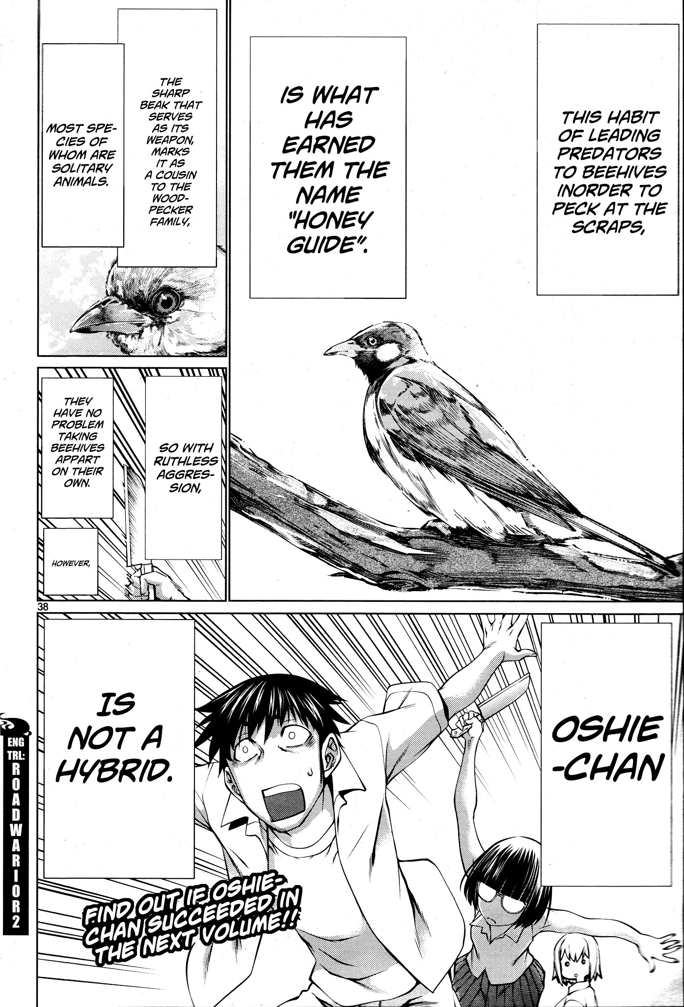 Killing Bites Chapter 69 page 37 - Chapter 69: "I Was Desperate to Endure It"