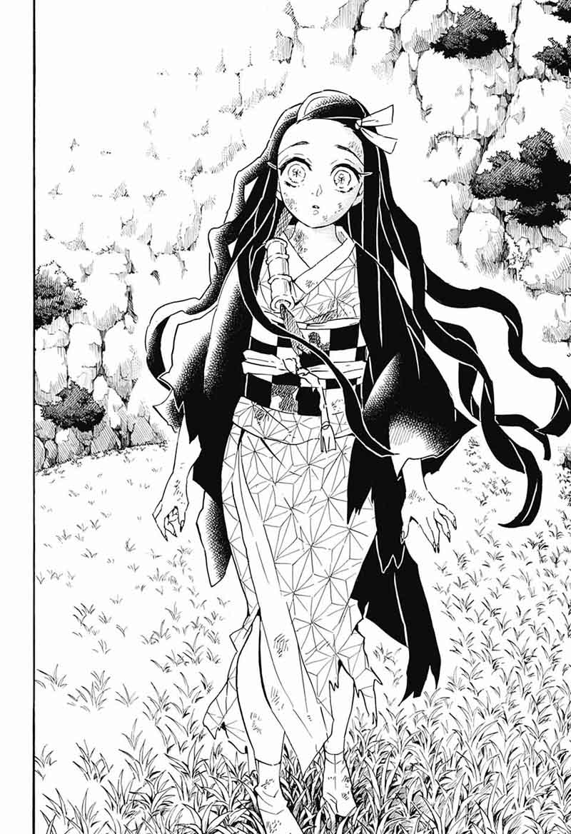 Kimetsu no Yaiba Chapter 126 page 17 - Chapter 126: Daybreak and First Light