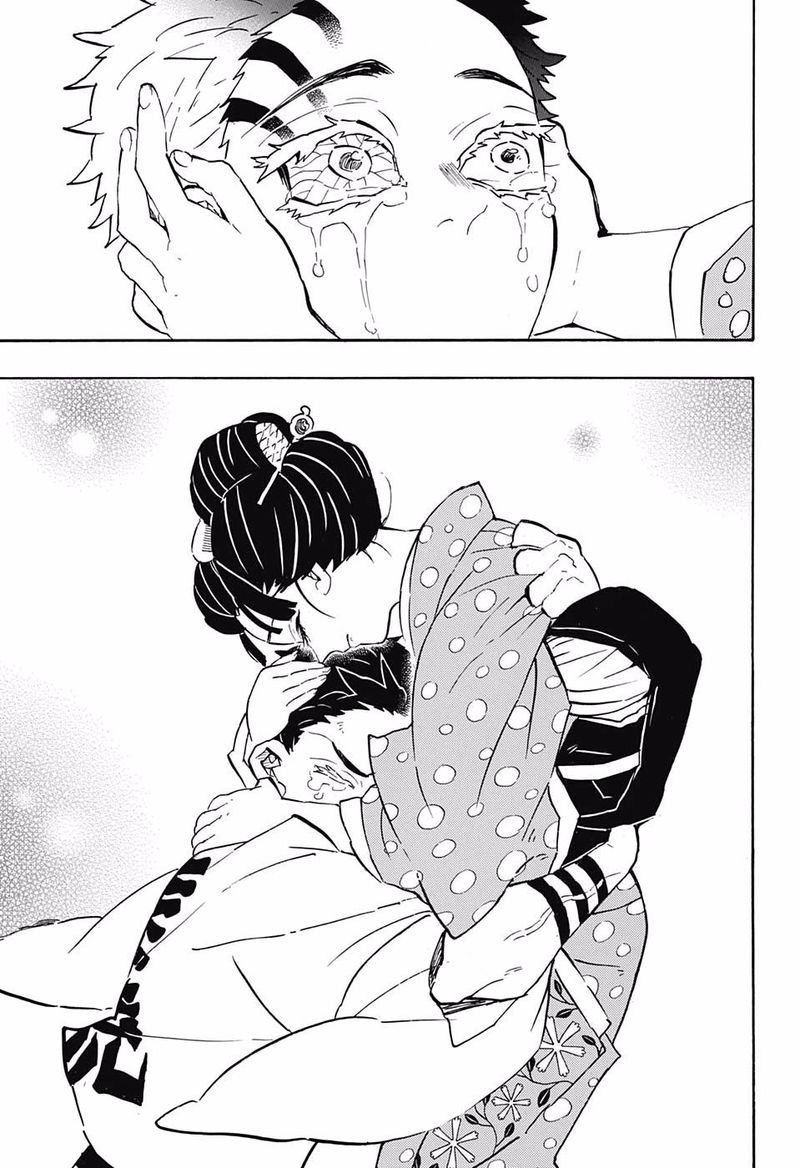 Kimetsu no Yaiba Chapter 156 page 19 - Chapter 156: Thank You