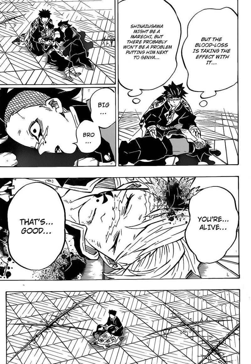 Kimetsu no Yaiba Chapter 179 page 5 - Chapter 179: Feelings For Elder Brother, Feelings For Younger Brother