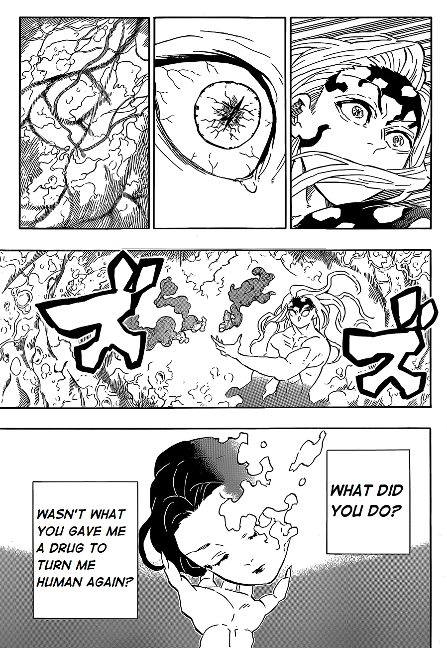 Kimetsu no Yaiba Chapter 193 page 13 - Chapter 193: A Difficult Door Begins to Open