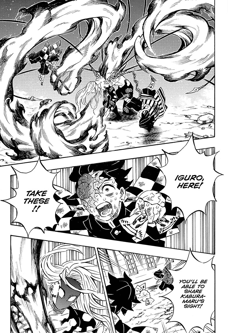 Kimetsu no Yaiba Chapter 195 page 13 - Chapter 195: Bewilderment