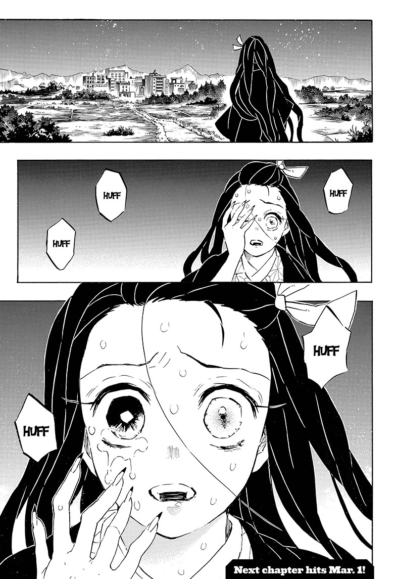 Kimetsu no Yaiba Chapter 195 page 19 - Chapter 195: Bewilderment
