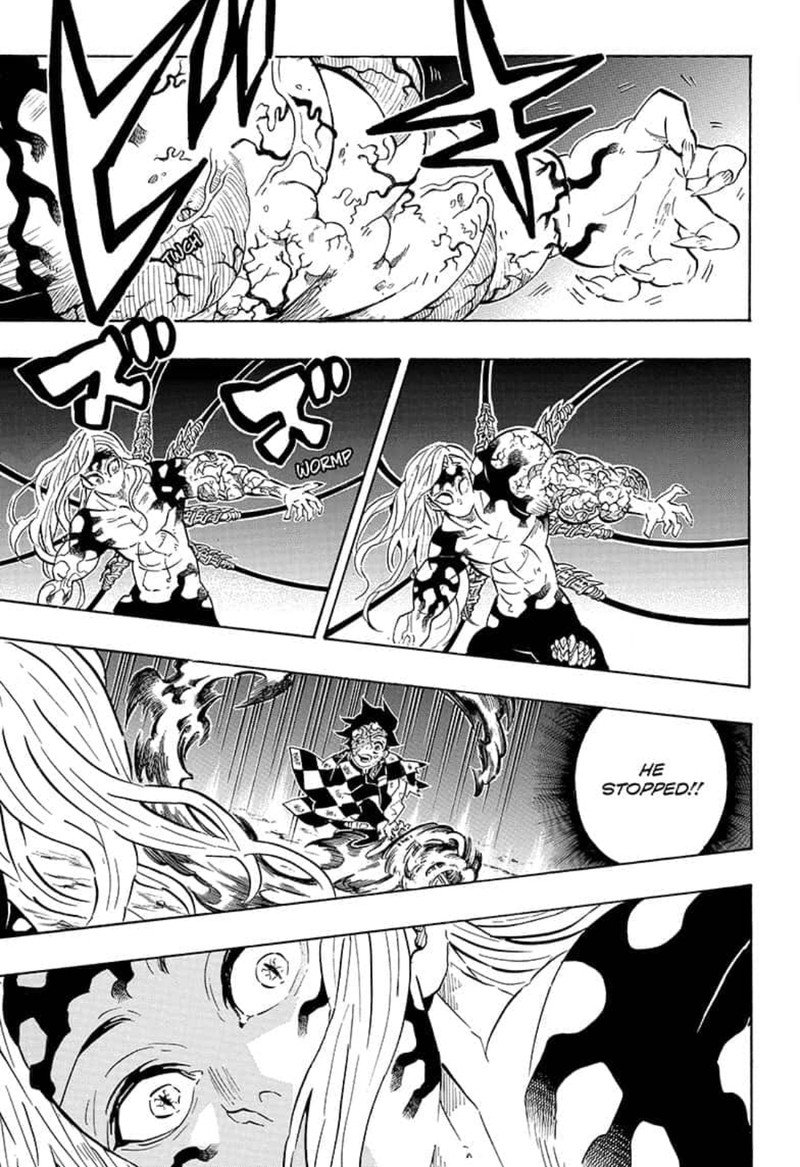 Kimetsu no Yaiba Chapter 196 page 17 - Chapter 196: I Am