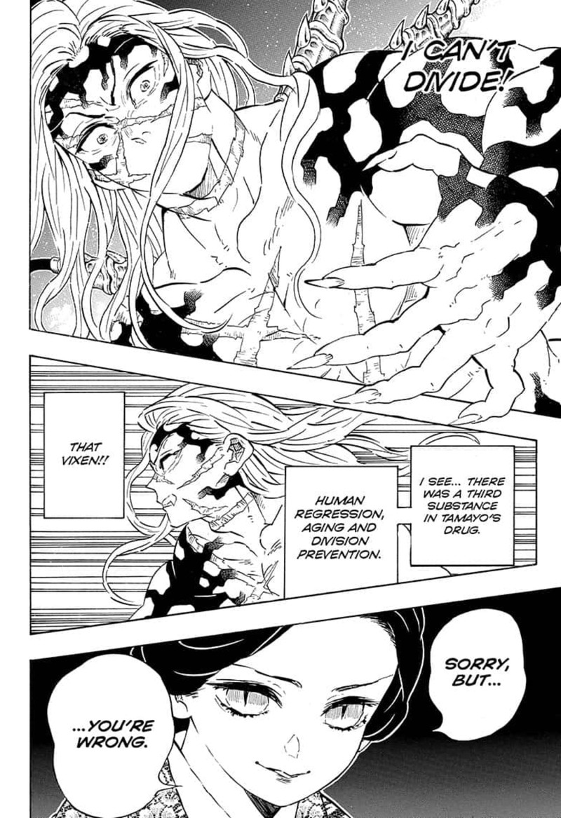 Kimetsu no Yaiba Chapter 196 page 18 - Chapter 196: I Am