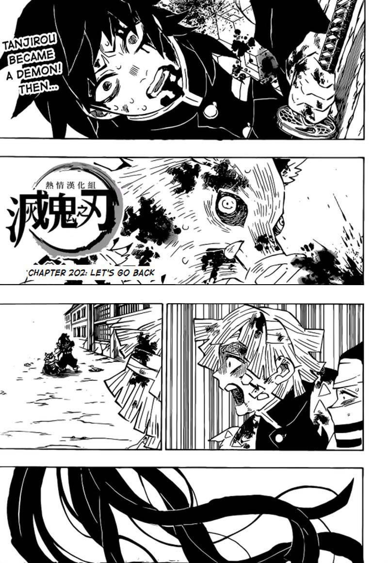 Kimetsu no Yaiba Chapter 202 page 1 - Chapter 202: Let's Go Home