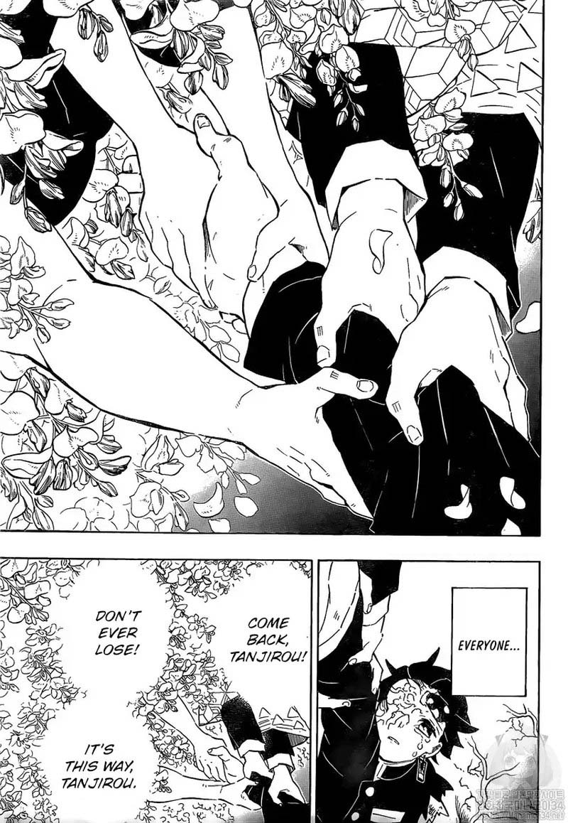 Kimetsu no Yaiba Chapter 203 page 12 - Chapter 203: Voices of Encouragement