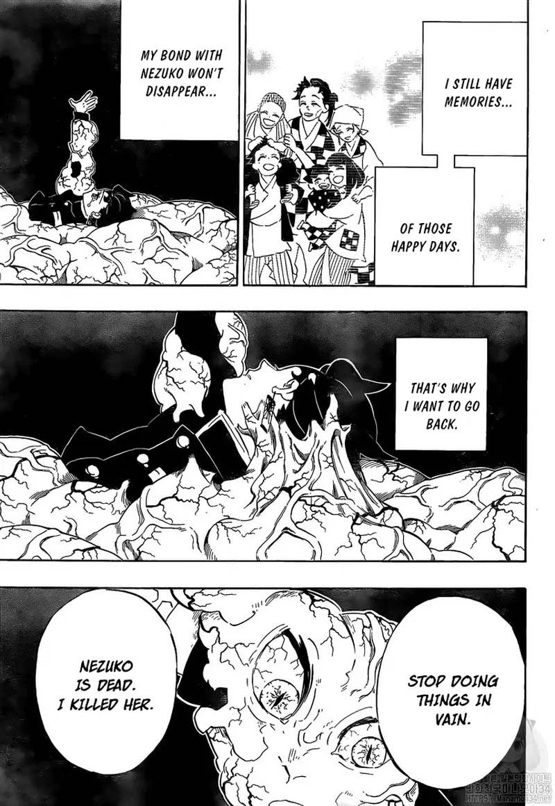 Kimetsu no Yaiba Chapter 203 page 3 - Chapter 203: Voices of Encouragement