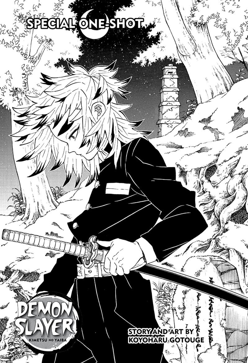 Kimetsu no Yaiba Chapter 205.5 page 1 - Chapter 205.5: Special One Shot