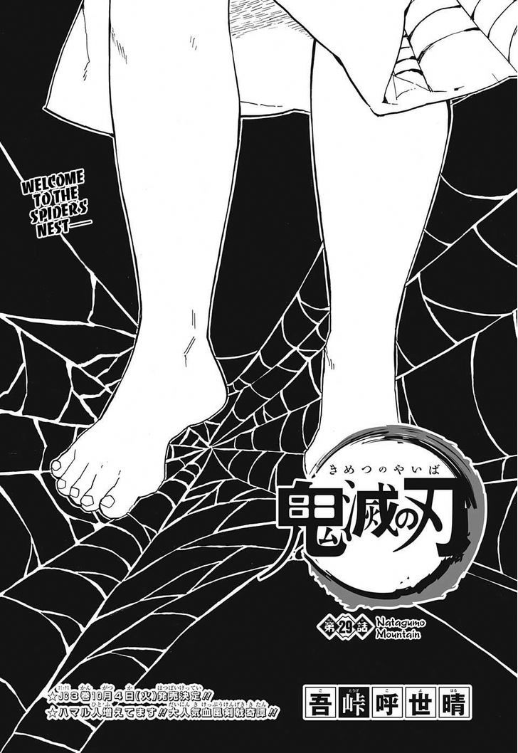 Kimetsu no Yaiba Chapter 29 page 1 - Chapter 29: Mount Natagumo