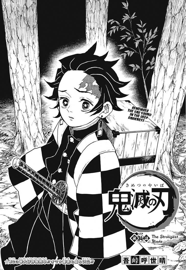 Kimetsu no Yaiba Chapter 34 page 1 - Chapter 34: Robust Blade