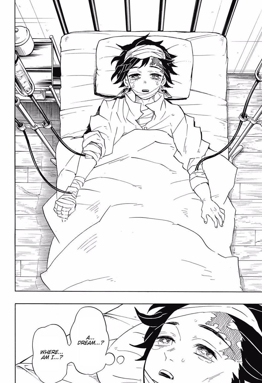Kimetsu no Yaiba Chapter 99 page 18 - Chapter 99: Someone's Dream