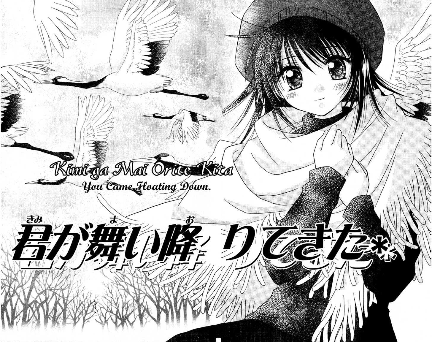 Kimi ga Mai Orite Kita Chapter 1 page 4 - Chapter 1