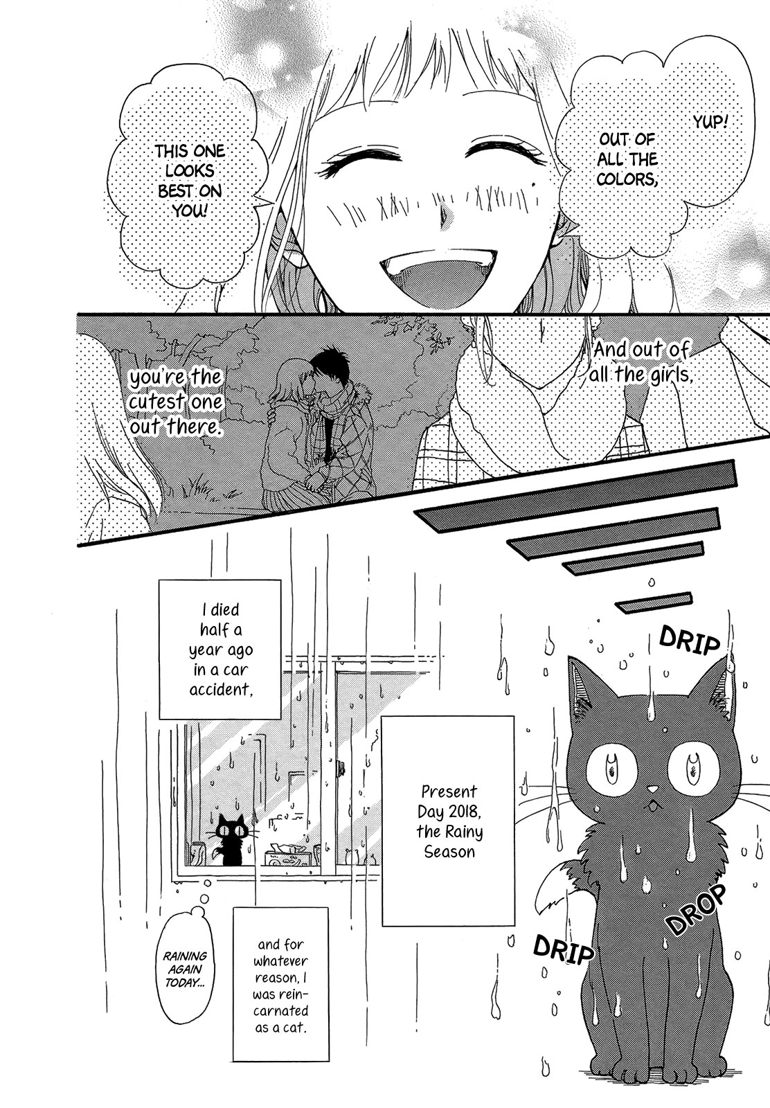 Kimi ga tonari ni iru yo dake de ~Ai subeki Doubutsu tachi~ Chapter 7 page 10 - Chapter 7: I Was Reincarnated as a Cat