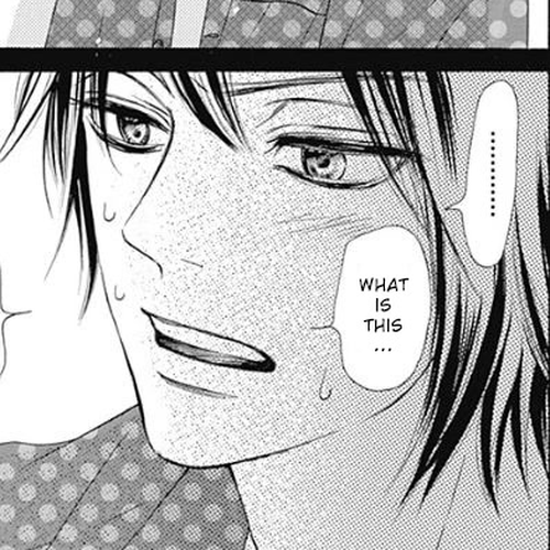 Kimi ni Todoke Special ～Soulmate～ Chapter 8 cover