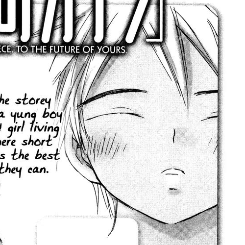 Kimi no Kakera Chapter 11.5 cover