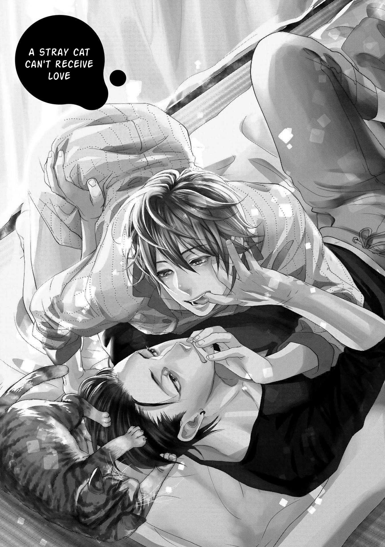 Kimi no Oto ga Nari Yamanai Chapter 5 page 2 - Chapter 5: Suteneko ni ai wo ataete wa ikemasen