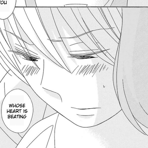 Kimi to Boku Chapter 75 cover