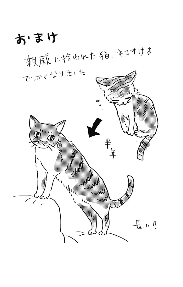 Kimi to Yuriika Chapter 16.5 page 12 - Chapter 16.5