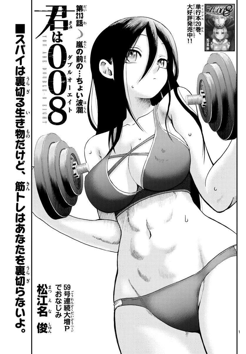 Kimi wa 008 Chapter 213 page 2 - Chapter 213