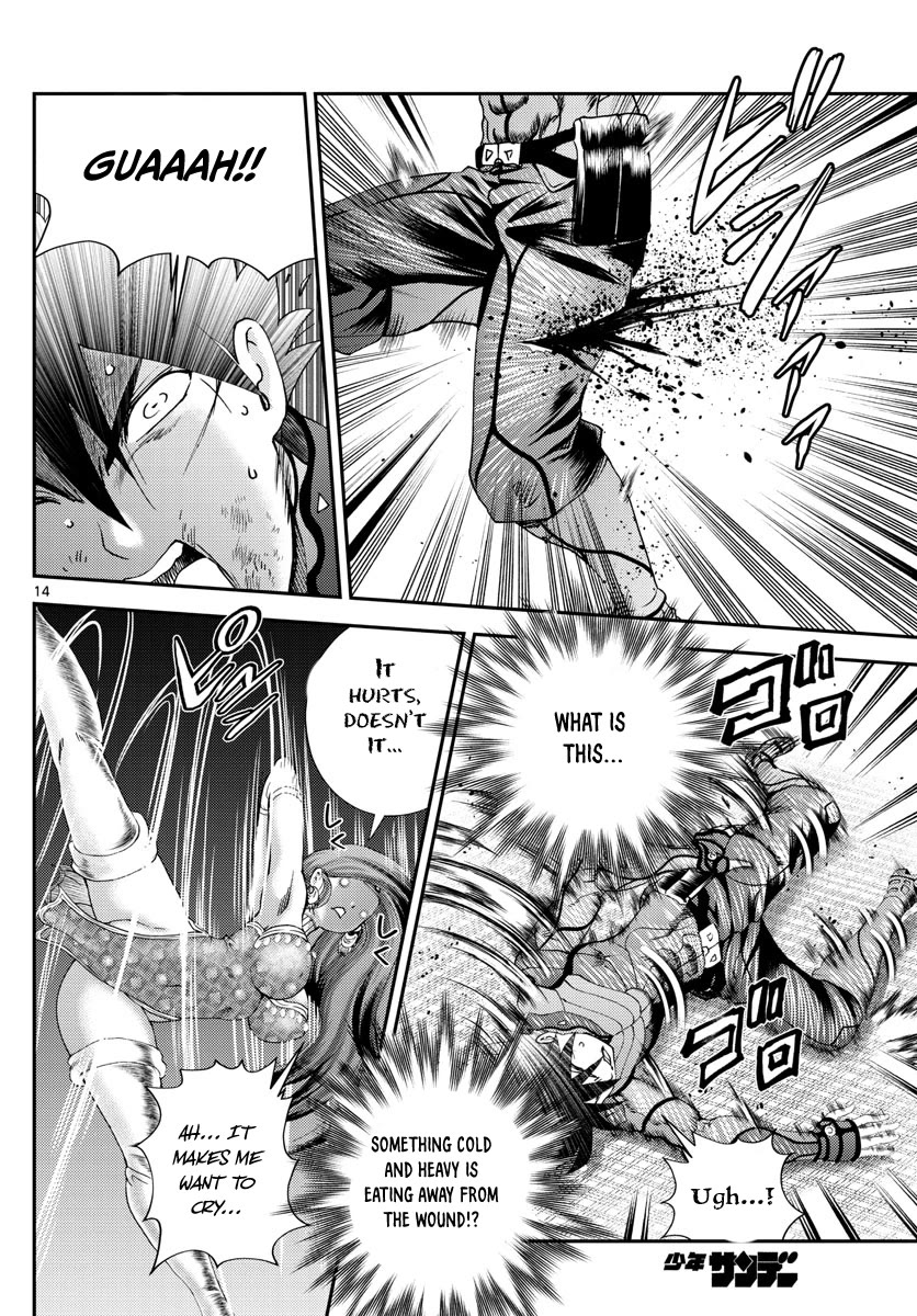 Kimi wa 008 Chapter 230 page 15 - Chapter 230