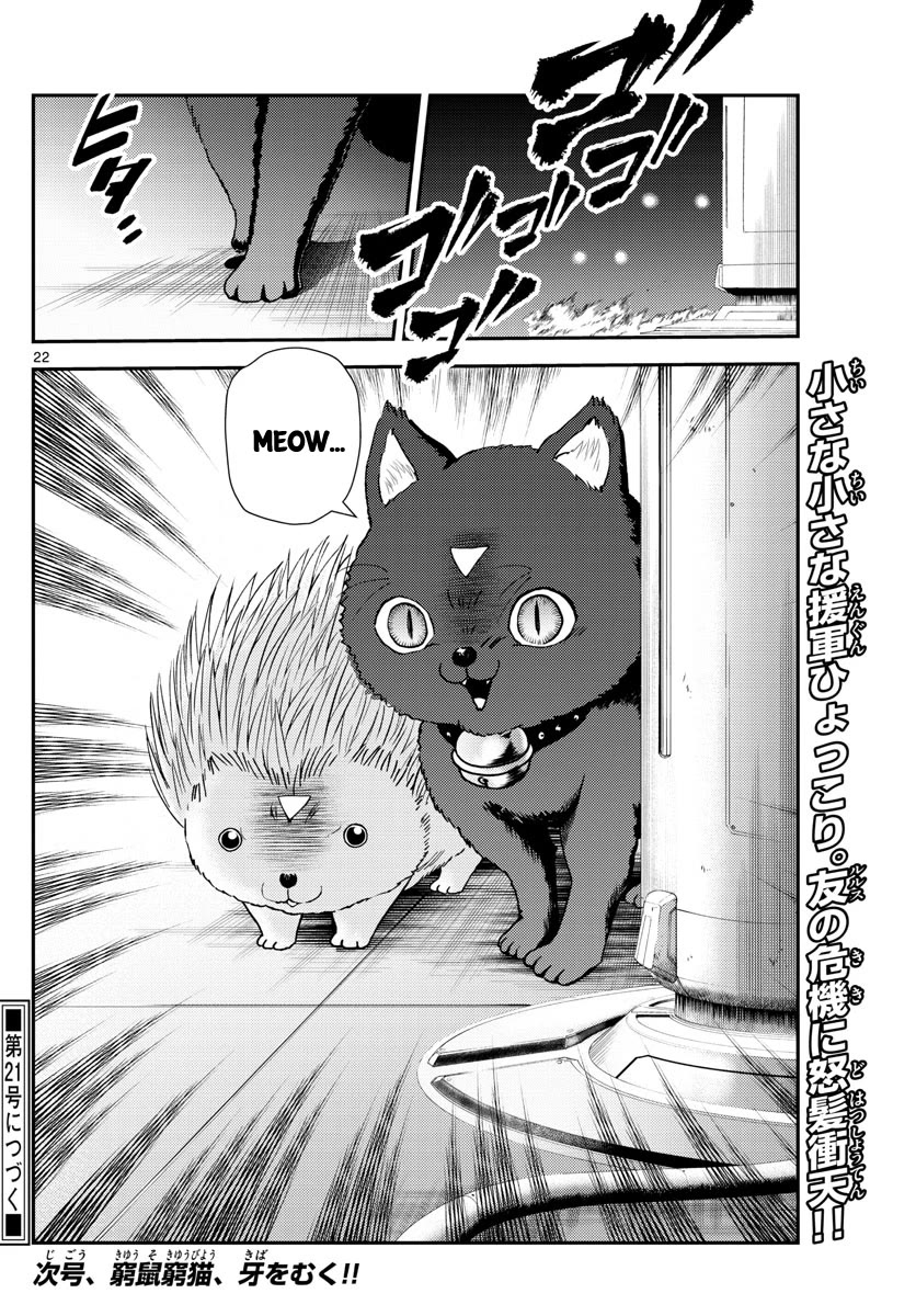 Kimi wa 008 Chapter 247 page 23 - Chapter 247