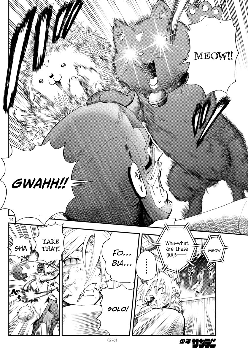 Kimi wa 008 Chapter 248 page 15 - Chapter 248